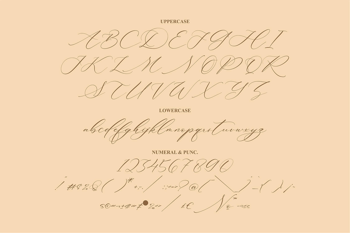 Patricia Rustine Luxury Script Font, a Script Font by Letterena Studios Script (Photo 13 of 15)