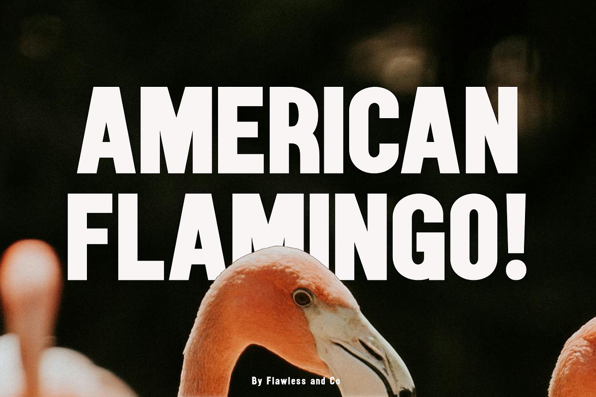 Gebila - Thumbnails Font, a Sans Serif Font by Flawless And Co (Photo 6 of 10)