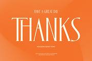 Zamilah Modern Serif Display, a Serif Font by timelesstype.co (Thumbnail 20 of 20)