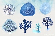 Ocean Life Watercolor Illustrations, an Illustration by Fire Spark Studio (Thumbnail 2 of 8)