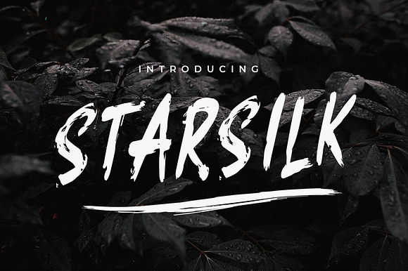 Starsilk Brush Font preview 7