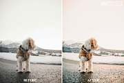 10 WINTER SNOW Lightroom Presets, a Preset Add-On by MaPresets (Thumbnail 6 of 14)