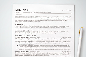 Simple Resume Templates ATS Word Mac, a Resume Template by BestResumes.Co