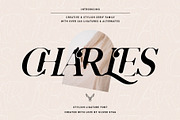 Charles - Ligature Serif Font Family, a Serif Font by SilverStag Type Foundry (Thumbnail 1 of 32)
