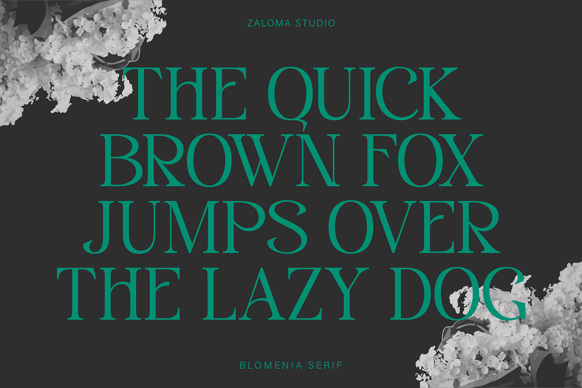 Blomenia, a Serif Font by Zaloma Studio (Photo 14 of 18)