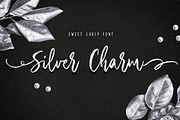 Silver Charm, a Handwritten Font by StereoType (Thumbnail 1 of 10)