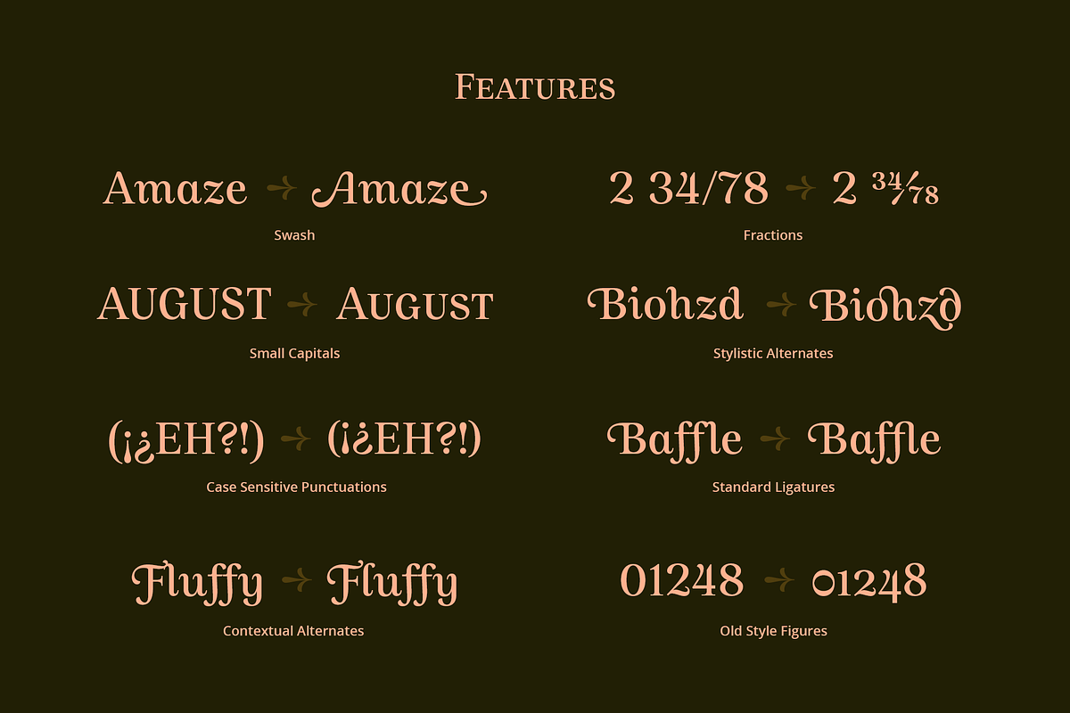 Allust Italic Font, a Serif Font by Halfmoon Type (Photo 10 of 11)