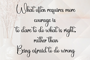 Highlight Wedding, a Handwritten Font by FreshTypeINK (Thumbnail 8 of 8)