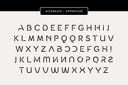 Black - Modern Corporate Sans Serif, a Sans Serif Font by Hamz Studio (Thumbnail 2 of 13)