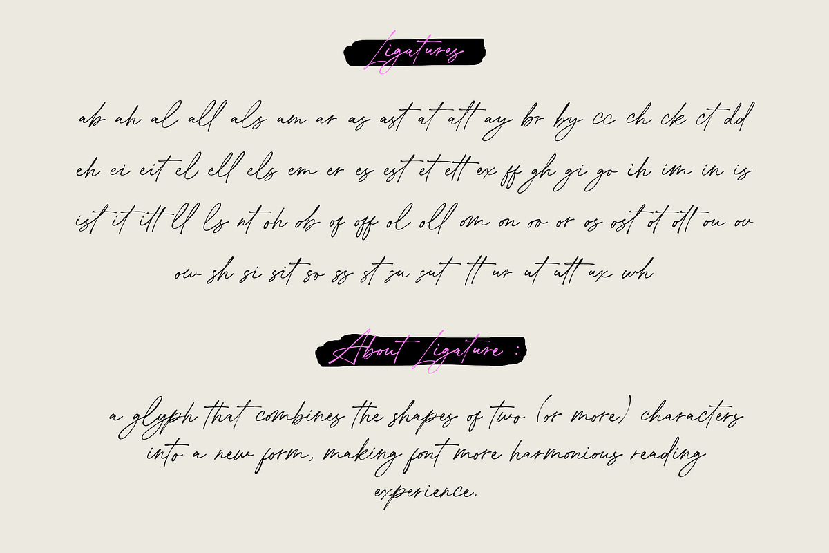 De Lionist - Handwritten Script Font, a Handwritten Font by Myn Type (Photo 14 of 15)