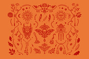 Talismans amulets. Magic boho summer, a Decorative Illustration by OlgaSoi007 (Thumbnail 4 of 10)