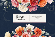 Watercolor Rose Collection, a Decorative Illustration by Damian Roh (Thumbnail 3 of 16)