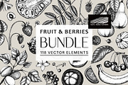 BUNDLE - Fruit & Berries Collection, a Food Illustration by Yevheniia (Thumbnail 1 of 9)