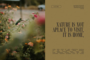 Vergen Vintage Serif Font, a Serif Font by Perfectype (Thumbnail 5 of 8)
