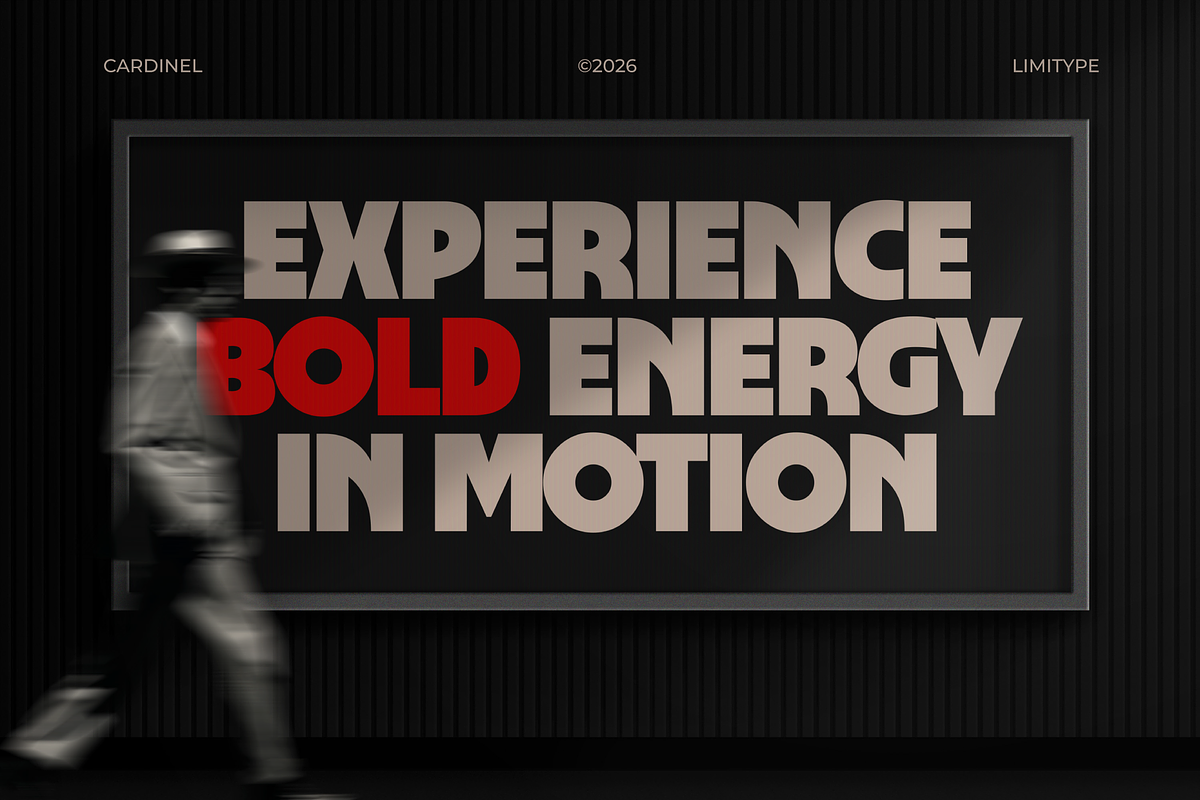 Cardinel - Bold Font, a Sans Serif Font by limitype (Photo 10 of 13)