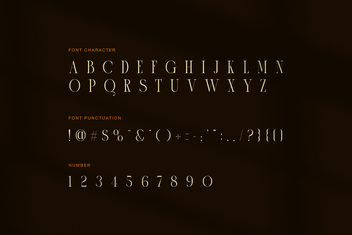 Lonad Elegant Serif Display Font, a Serif Font by Graphicxell (Photo 7 of 8)