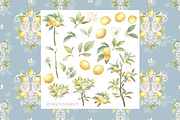 Lemon Lily Wedding Watercolor Bundle, a Decorative Illustration by WonderWonder (Thumbnail 8 of 13)