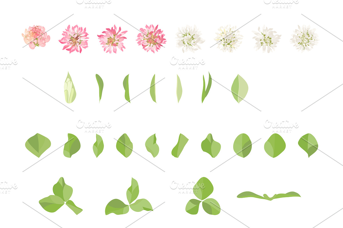 Vector object brushes. Clover preview 8
