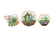 Florarium composition, a Decorative Illustration by Good Studio (Thumbnail 2 of 3)