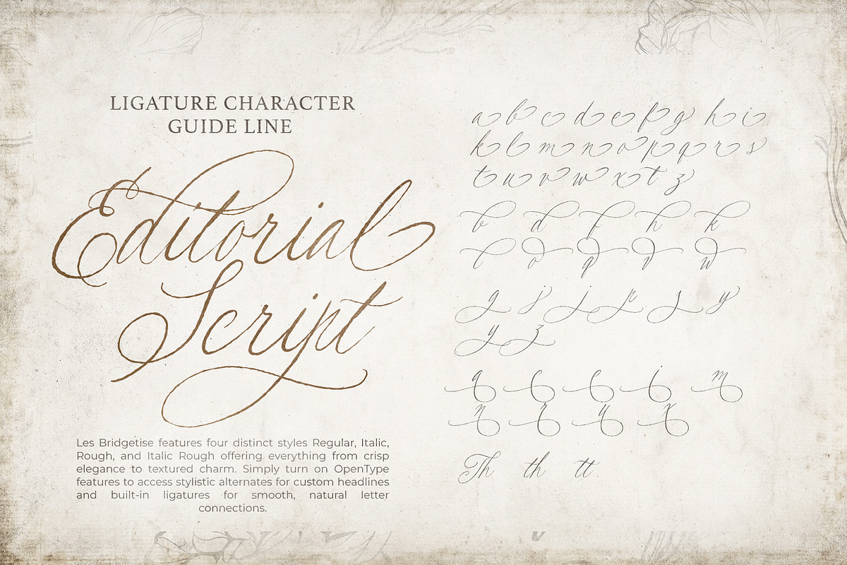 Les Bridgetise - Old Cursive Script, a Script Font by Sarid Ezra (Photo 7 of 9)