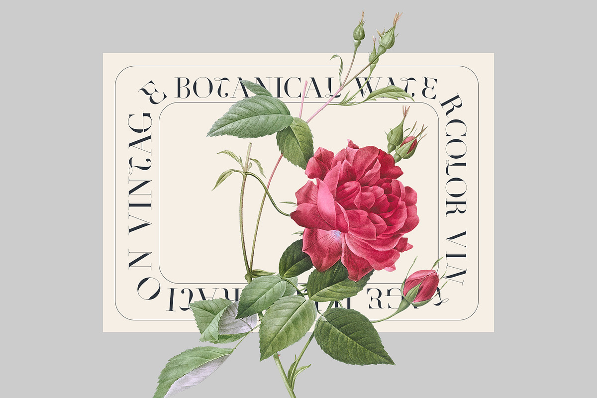 VINTAGE FLOWERS Watercolor Png Set, an Object Graphic by Oksana Trygub (Photo 2 of 8)