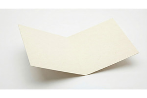 Use of Blank Card for Branding, an Object Illustration by CREATIVEDEF