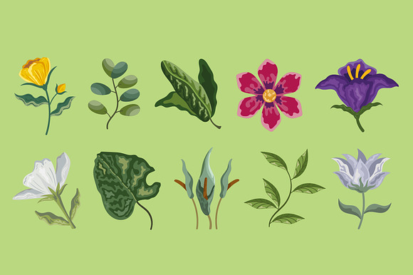 Botanical Flower & Leaf Set preview 2