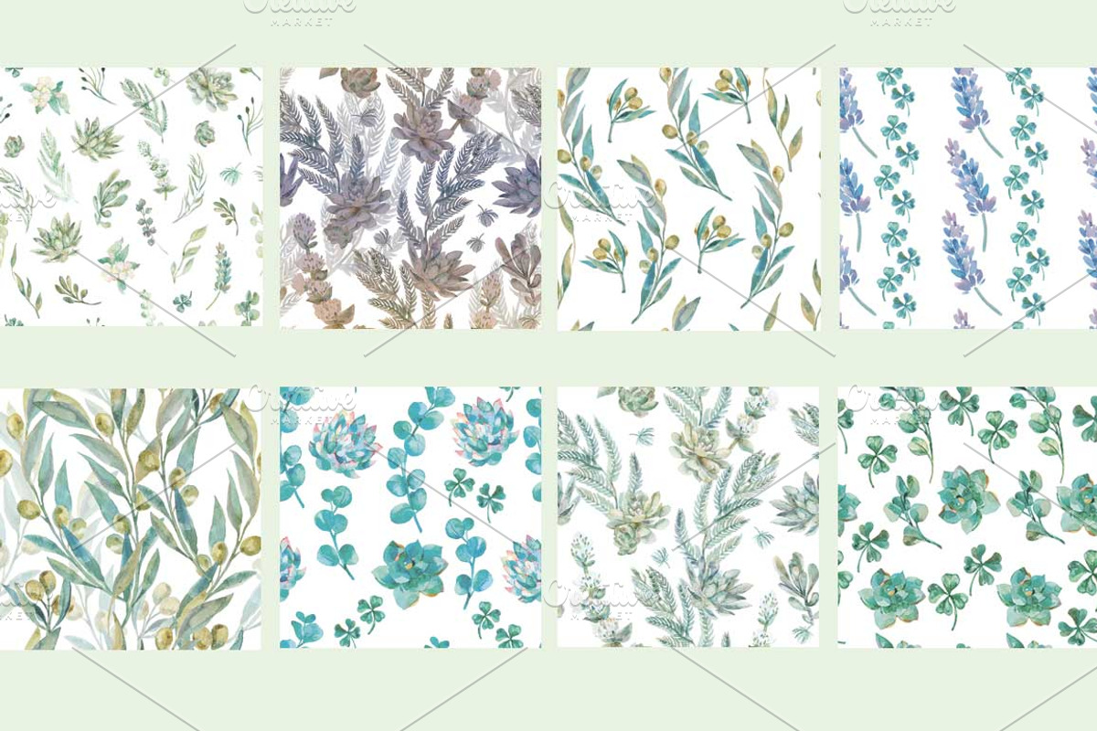 Wedding set of succulents, an Illustration by Elizaveta (Photo 2 of 6)