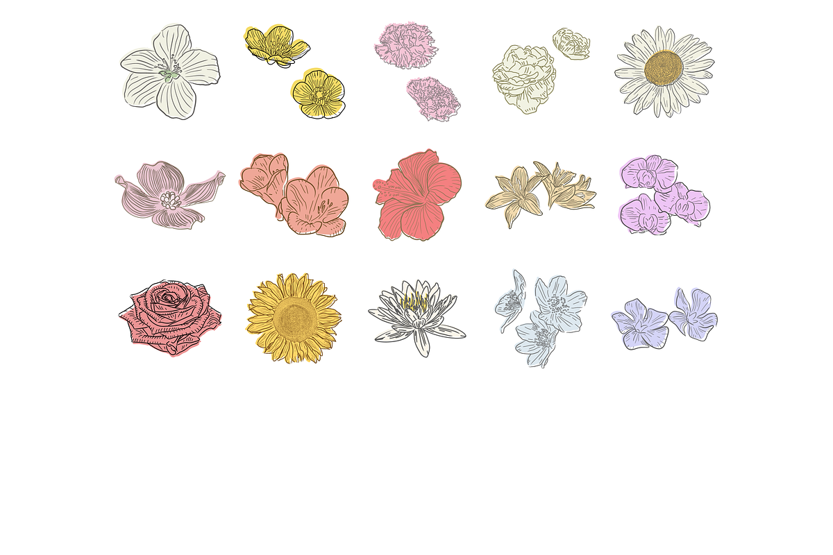 HandDrawn Flower Library, an Illustration by Linseed Studio (Photo 10 of 10)
