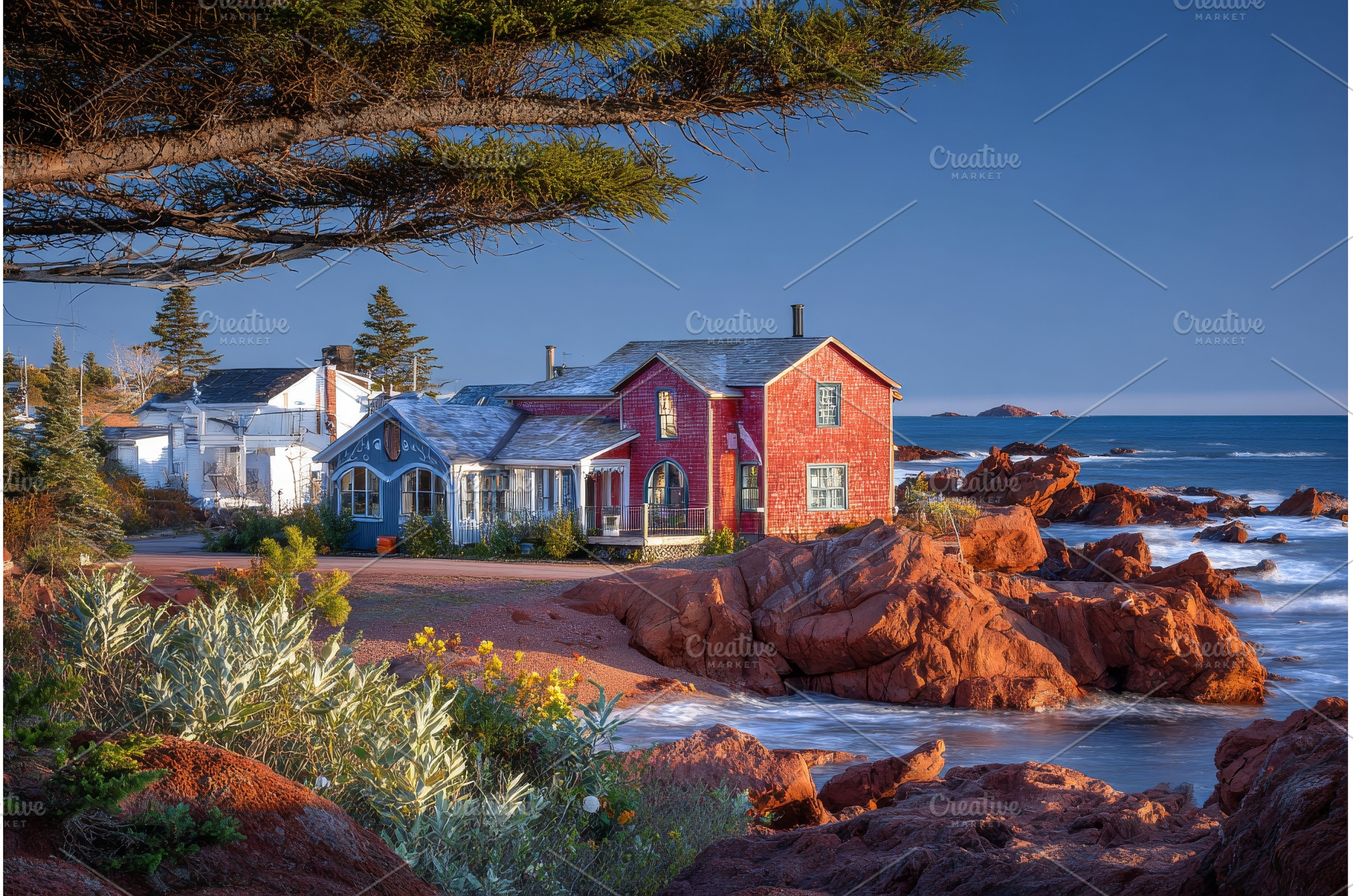 The rugged shoreline of Acadia, a Nature Photo by ZinetroN