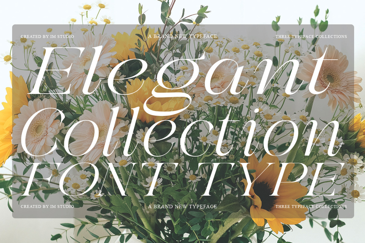 Galdertin Charetam | 141 Font Style, a Serif Font by IM Studio (Photo 3 of 12)