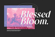 Quatro - A Modern Serif Font, a Sans Serif Font by Letterhend Studio (Thumbnail 2 of 9)