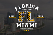College League Font - Display Font, a Font by GlitzyGrapix (Thumbnail 3 of 10)