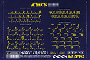 Morant Chastor Typeface, a Blackletter Font by alit design (Thumbnail 11 of 17)