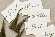Betris & Daniel | Wedding Font, a Script Font by Ef Studio (Thumbnail 17 of 19)