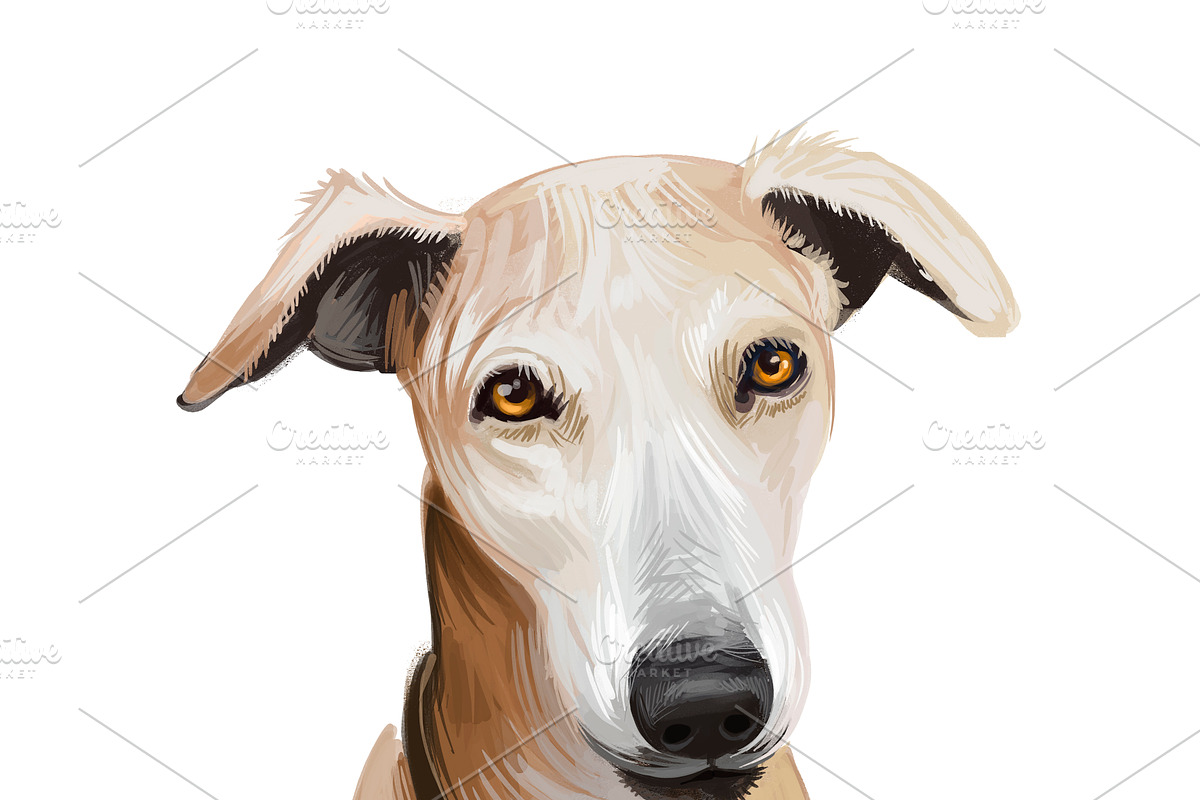 Puppies Dog Breeds Big Bundle 135Pcs, an Animal Illustration by Dneprstock (Photo 12 of 68)