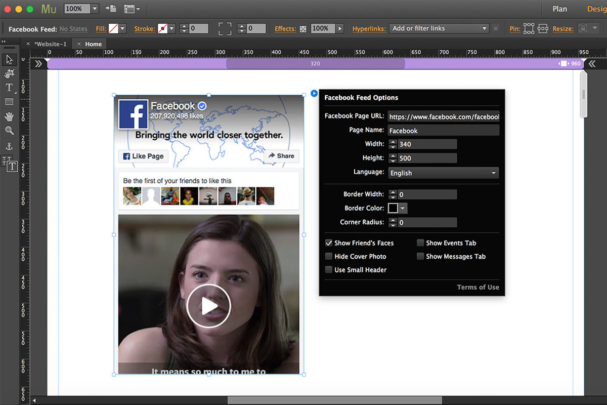 Facebook Feed Adobe Muse Widget preview 2