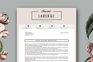 3 Page Resume Template For MS Word