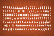 Boldry Display, a Sans Serif Font by Ainun Jinan (Thumbnail 9 of 9)