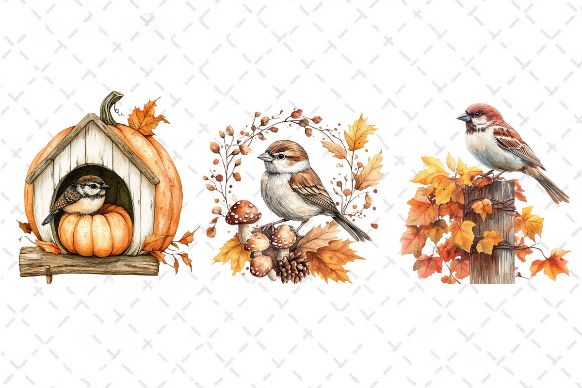 Autumn Sparrows Bird Clipart, an Illustration by Dream Creation (Photo 6 of 6)