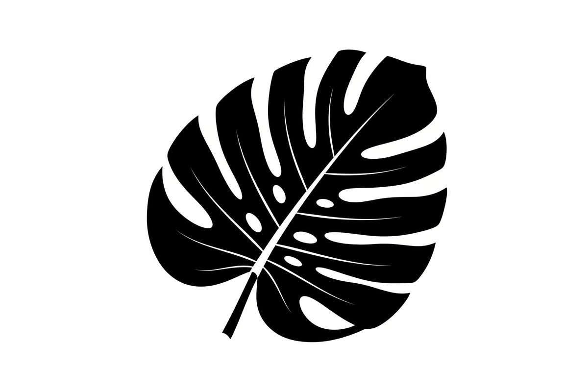 Monstera Leaf Silhouette Bundle, an Illustration by yasushie (Photo 30 of 31)
