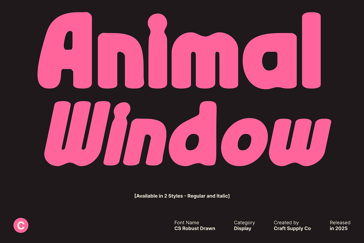 CS Robust Drawn, a Sans Serif Font by Craft Supply Co. (Photo 3 of 8)