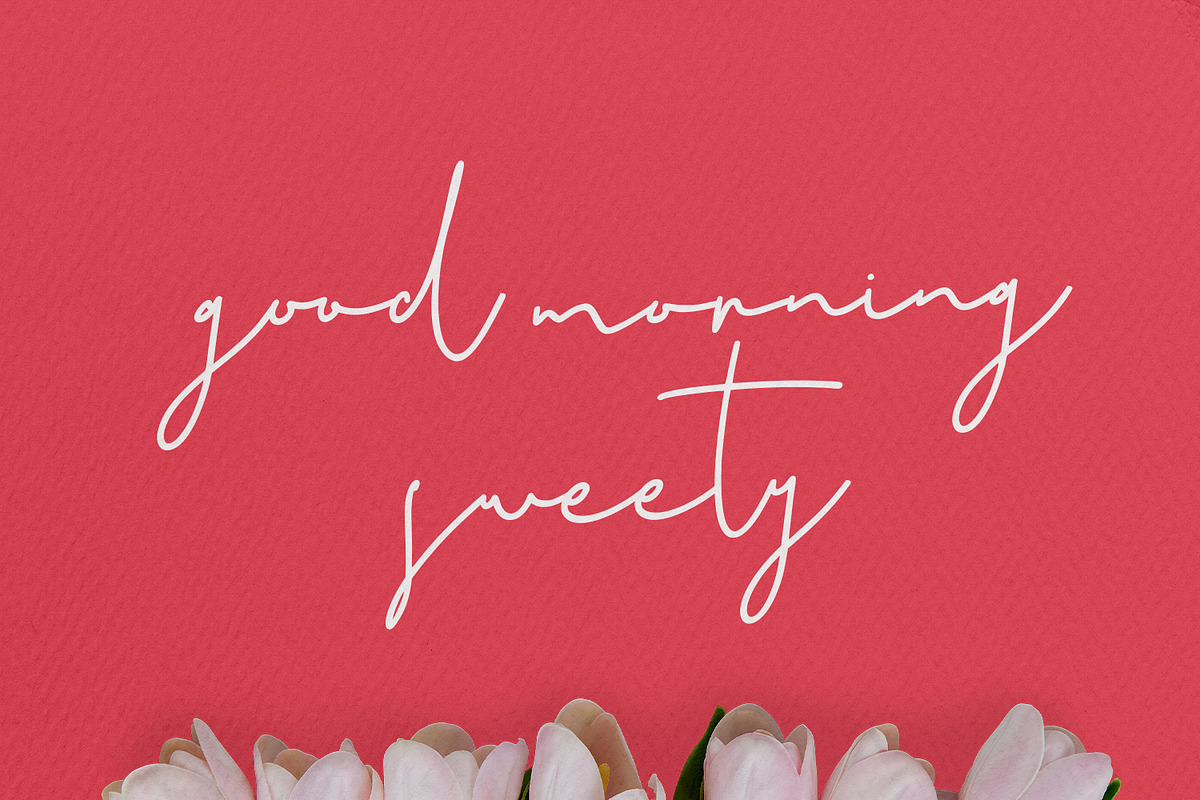 Christie Dianna Valentine Font, a Script Font by Maulana Creative (Photo 3 of 10)