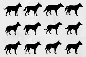 Dingo Silhouette SVG, an Animal Illustration by newminddesign
