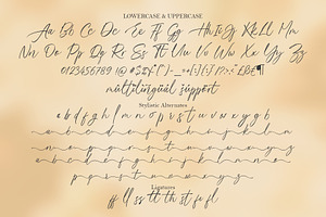 Bristan Script