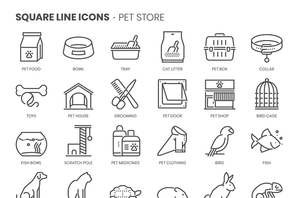 Petshop, Square Line Icons, an Outline Icon by Howcolour