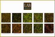 Seamless Fantasy Fall Ground Cover, a Texture Graphic by Lab Designs (Thumbnail 2 of 3)