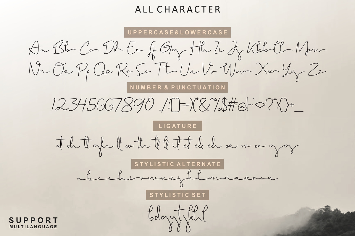 Brigham Signature Script, a Script Font by Glyphstyle (Photo 8 of 10)