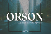 Font Bundle: 80+ professional fonts, a Font by Dene Studios (Thumbnail 11 of 31)