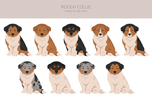 Rough Collie Clipart